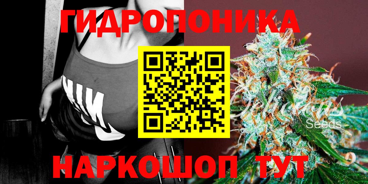 Канабис план Волхов